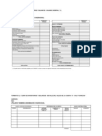 234_formato31 Formato Libro de Inventarios y Balances