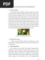 Download Sayur Dan Buah by Huriin Husna SN153968490 doc pdf