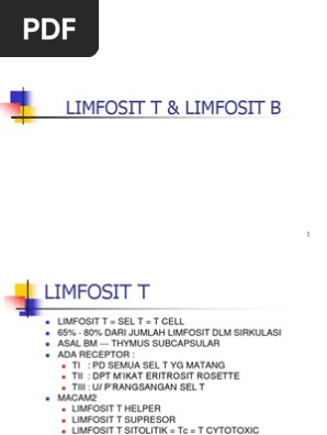 Limfosit T Limfosit B