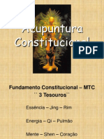 (2) Constitucional2