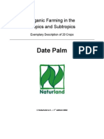 8.3.4 Date - Palms PDF