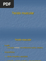 Tecido Muscular