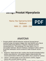 49016331 Benign Prostat Hiperplasia