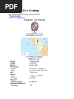 Download Profil Kabupaten Deli Serdang by Gita Puspita N Huda SN154040400 doc pdf