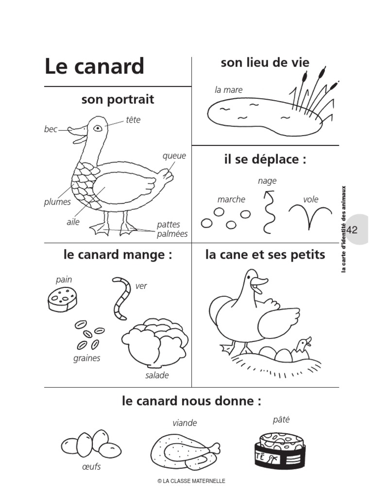 Fiches Animaux Ferme Pdf