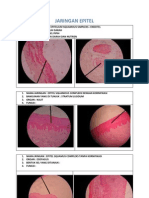 JARINGAN EPITEL