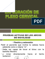 Exploracion Neurologica de Cervicales