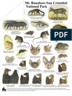 The Mammals of Mt. Banahaw - San Cristobal National Park