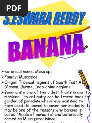 Banana Production Technology-eswar