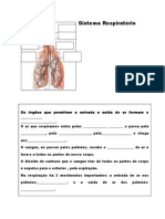 3º ano-sistema_respiratorio