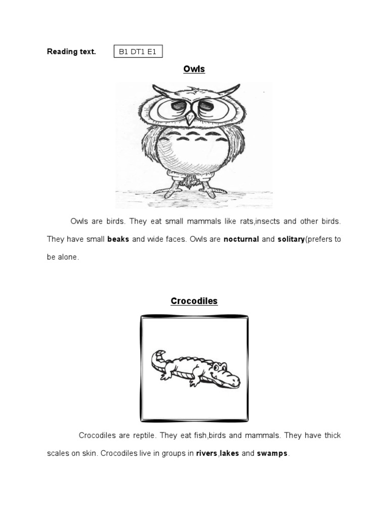 Reading Textmm | PDF