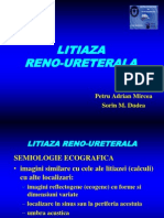 17 US Renal - Litiaza 2003