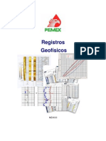 Registros Geofsicos Pemex