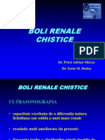 17 US Renal - Chiste 2003