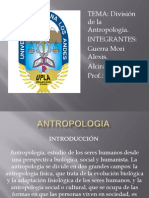 Antro Polo Gia