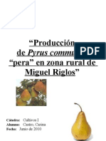 Proyecto de Pera1