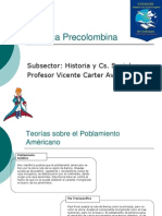 Ppont-Amerc_Precolom08