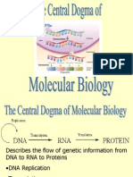 Central Dogma of Dna