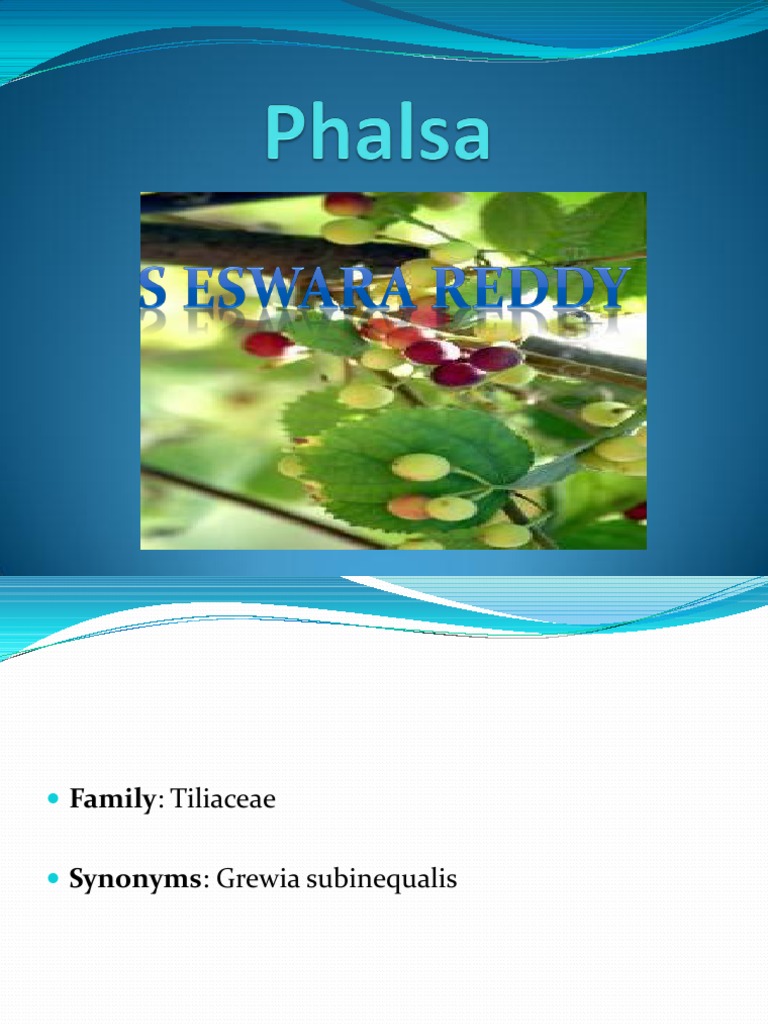 Phalsa-Seed To Fruit | PDF | Vitamin | Berry