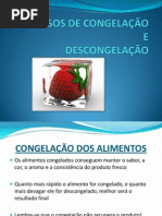 PROCESSOS DE CONGELAÇÃO