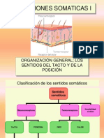 Clase 05 Sensaciones Somaticas I - Tacto y Posicion