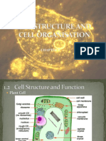 Cell Structure and