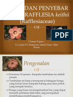 Buah Dan Penyebar Benih Rafflesia Keithii (Rafflesiaceae