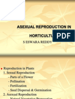 Asexual Reproduction in Plants SEREDDY