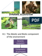 Dynamic Ecosystem Components