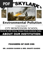 Download Case Study on Environmental Pollution by Dr Dheeraj Mehrotra SN15423750 doc pdf