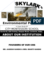 Case Study On Environmental Pollution