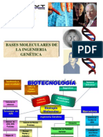 Genetica Final