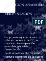 cap 4. FERMENTACION.pdf