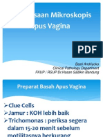 Apus Vagina