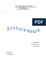 analisis de internet.docx