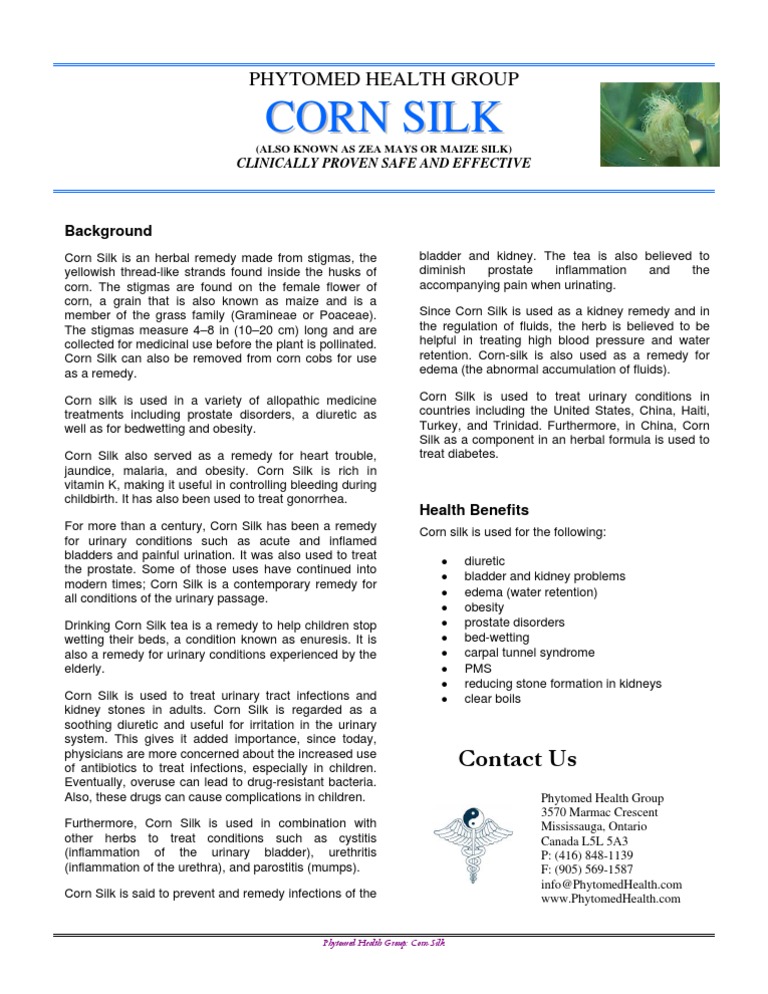 Corn Silk PDF Urinary System Maize
