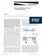 Think Globally, Act Locally: How Bacteria Integrate Local Decisions With Their Global Cellular Programme