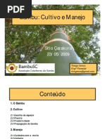 Manejo e Cultivo de Bambu