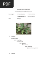 Download ARSITEKTUR TUMBUHAN by Nabilla Jang Park Horvejkul SN154312409 doc pdf