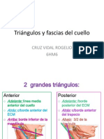 Triángulos y Fascias Del Cuello