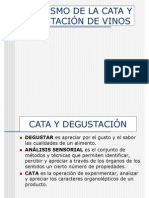 Enologia Mecanismo de La Cata y Degustacion de Vinos