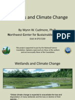 Wetlands and Climate Change