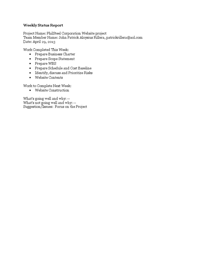 PhilSteel Website Project Status Report | PDF | Business | Computing ...