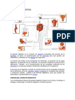 Aparato Digestivo Para Subirdocx