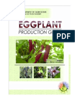 The Nutritional Value and Cultivation of Eggplants