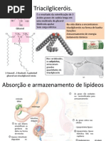 005_ox_ac_graxo_2011_1_001