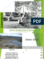 Calendario 2013 Zona Ambiental