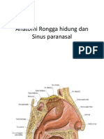 Anatomi Rongga Hidung Dan Sinus Paranasal