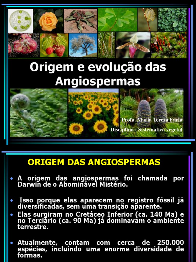 Origem e Evolução das Angiospermas | PDF | Flores | Áreas da Botânica