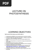 Photosynthesis LECTURE